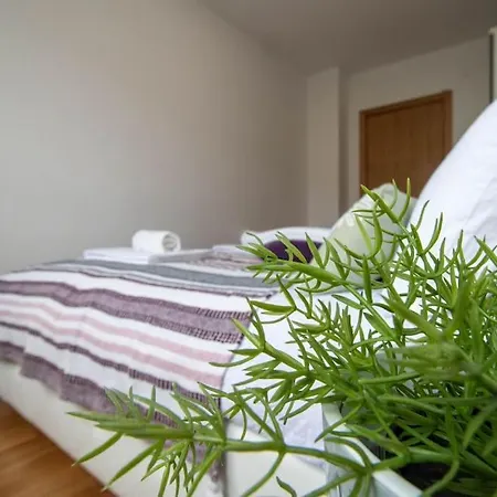 Apartment Purple - Cozy In Area Novi Sad