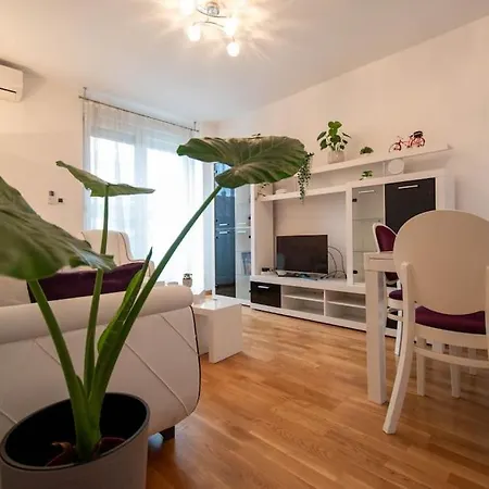 Purple - Cozy In Area *